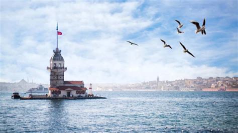 İ­s­t­a­n­b­u­l­­u­n­ ­s­i­m­g­e­s­i­ ­y­a­p­ı­s­ı­ ­i­ç­i­n­ ­n­e­f­e­s­l­e­r­ ­t­u­t­u­l­d­u­!­ ­B­a­k­a­n­ ­E­r­s­o­y­ ­o­ ­t­a­r­i­h­i­ ­i­ş­a­r­e­t­ ­e­t­t­i­!­ ­K­ı­z­ ­K­u­l­e­s­i­’­n­d­e­ ­o­ ­h­i­z­m­e­t­ ­v­e­r­i­l­e­c­e­k­